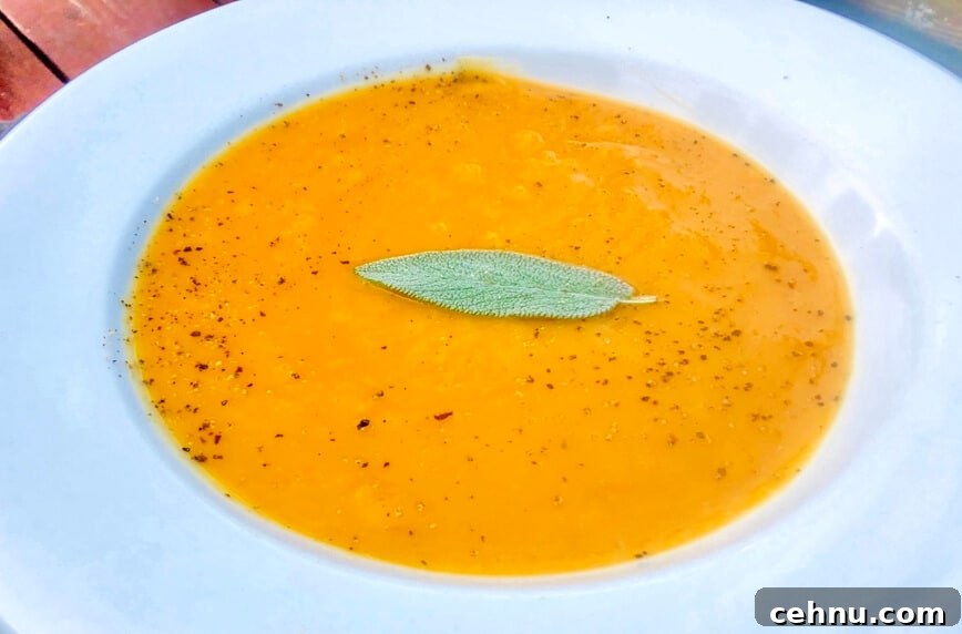 Roasted butternut squash soup.