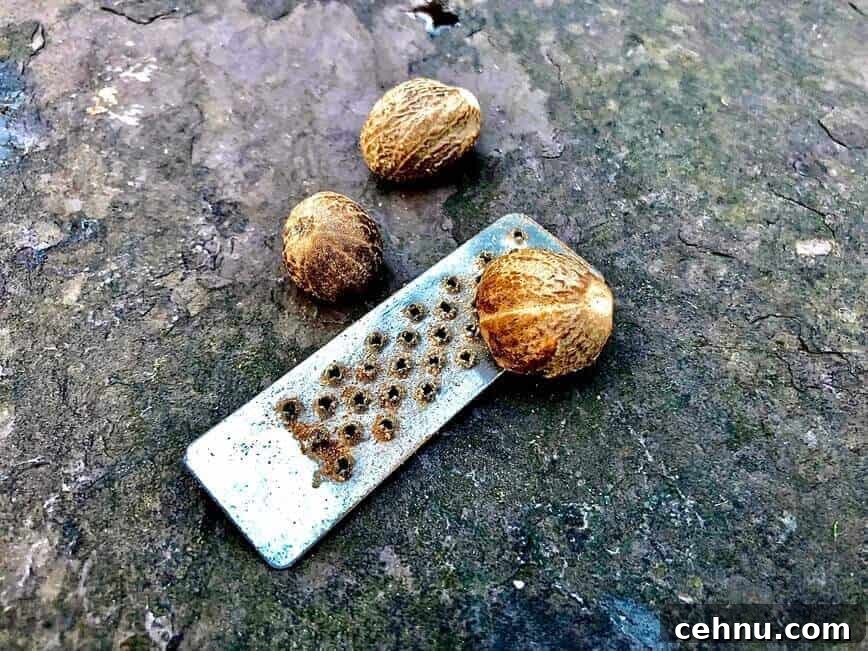 Nutmeg and a small grater.