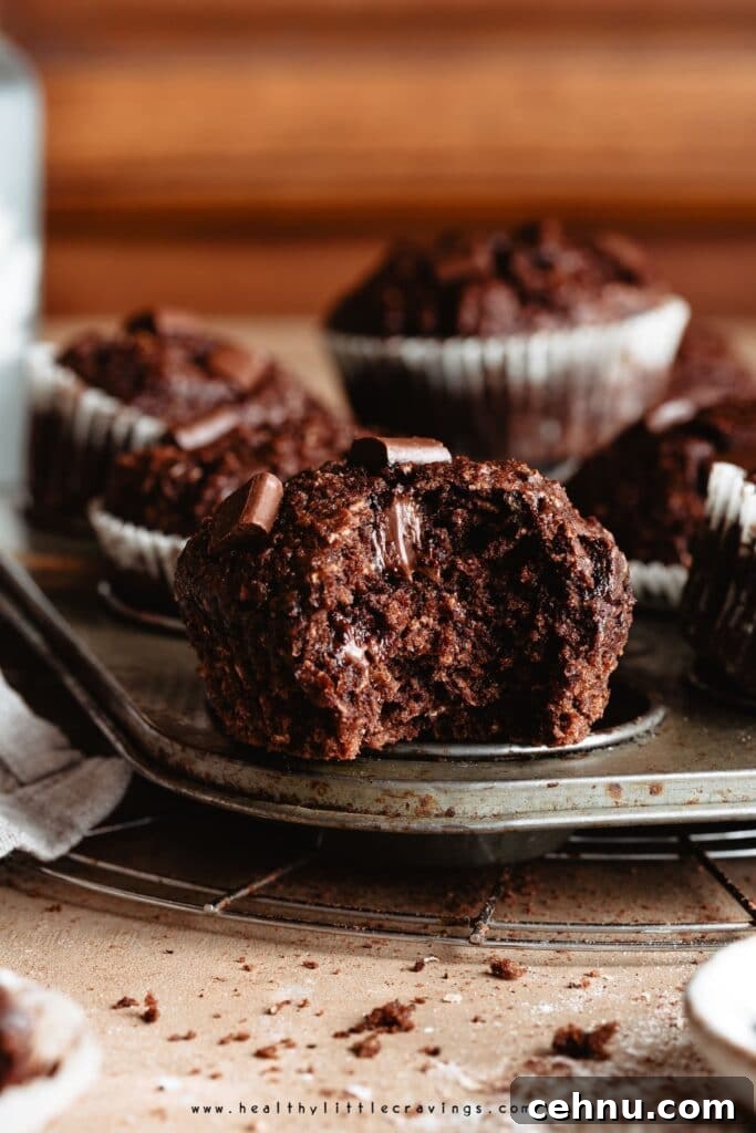 Zucchini and chocolate muffins whole