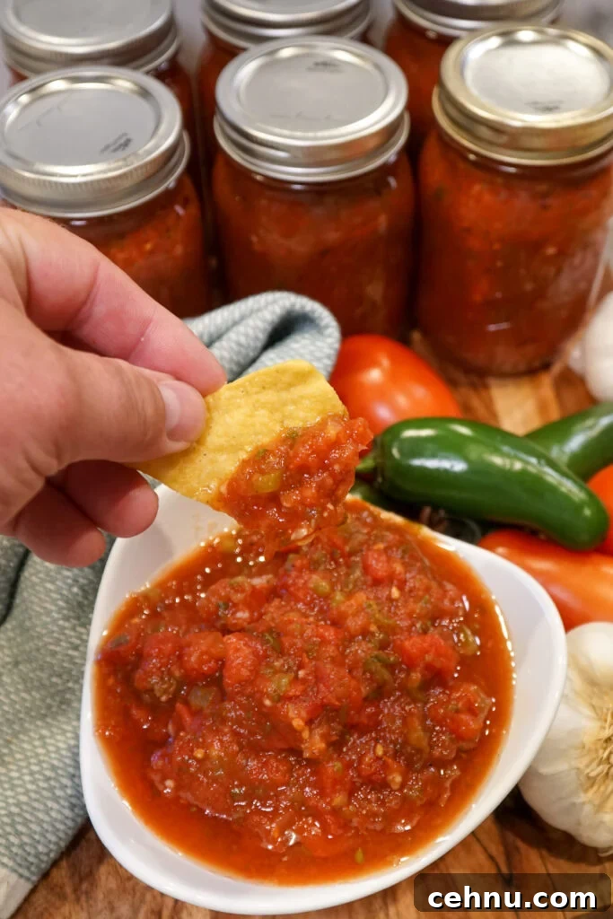 Salsa recipe for canning - Canned salsa on a tortilla chip.