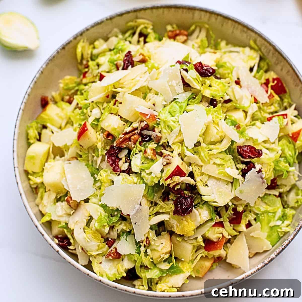 Salad dished out made with shaved Brussels Sprouts tossed with honey lemon dressing, diced apples, dried cranberries, shaved parmesan, and chopped toasted pecans.