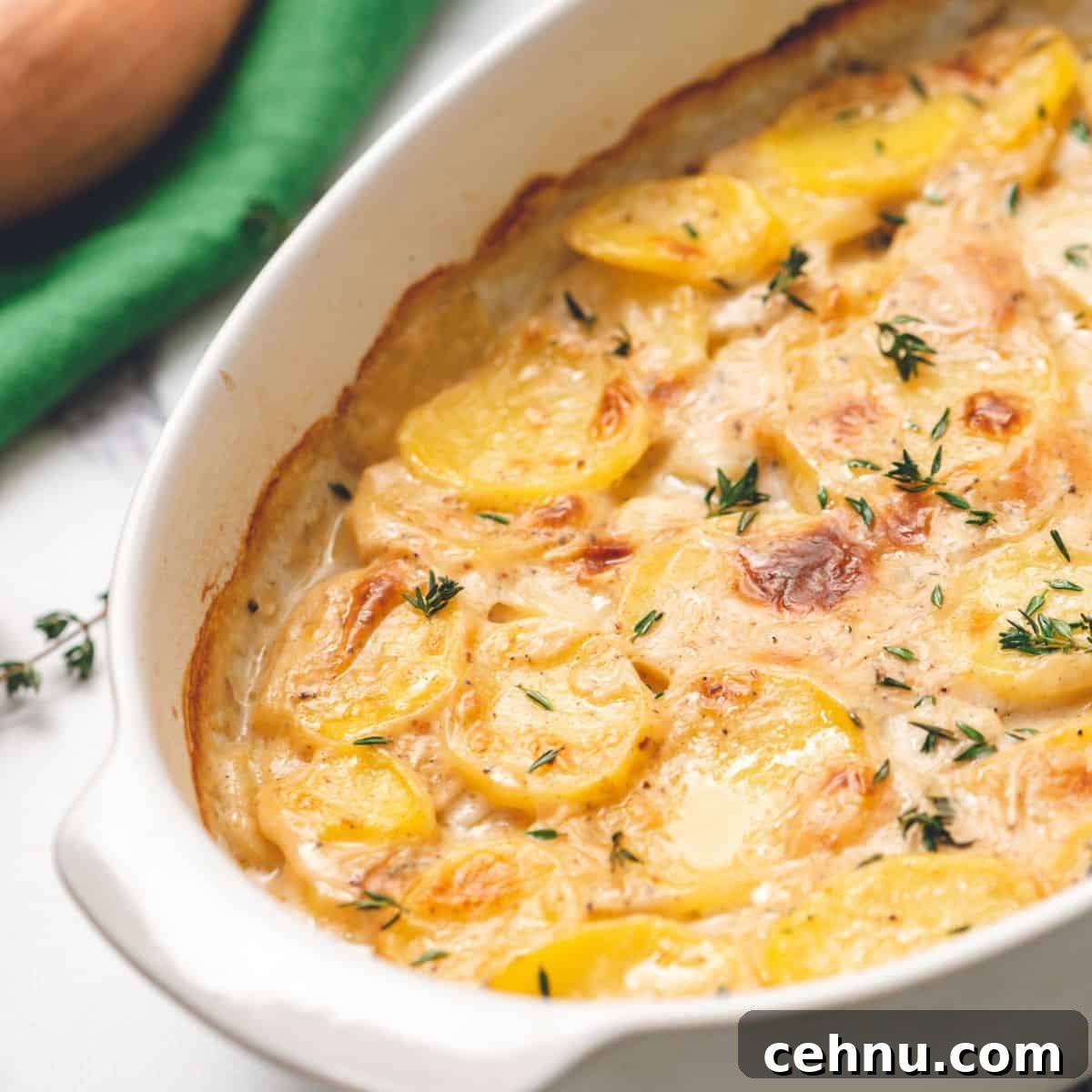 Baked Scalloped Potatoes in white baking dish.