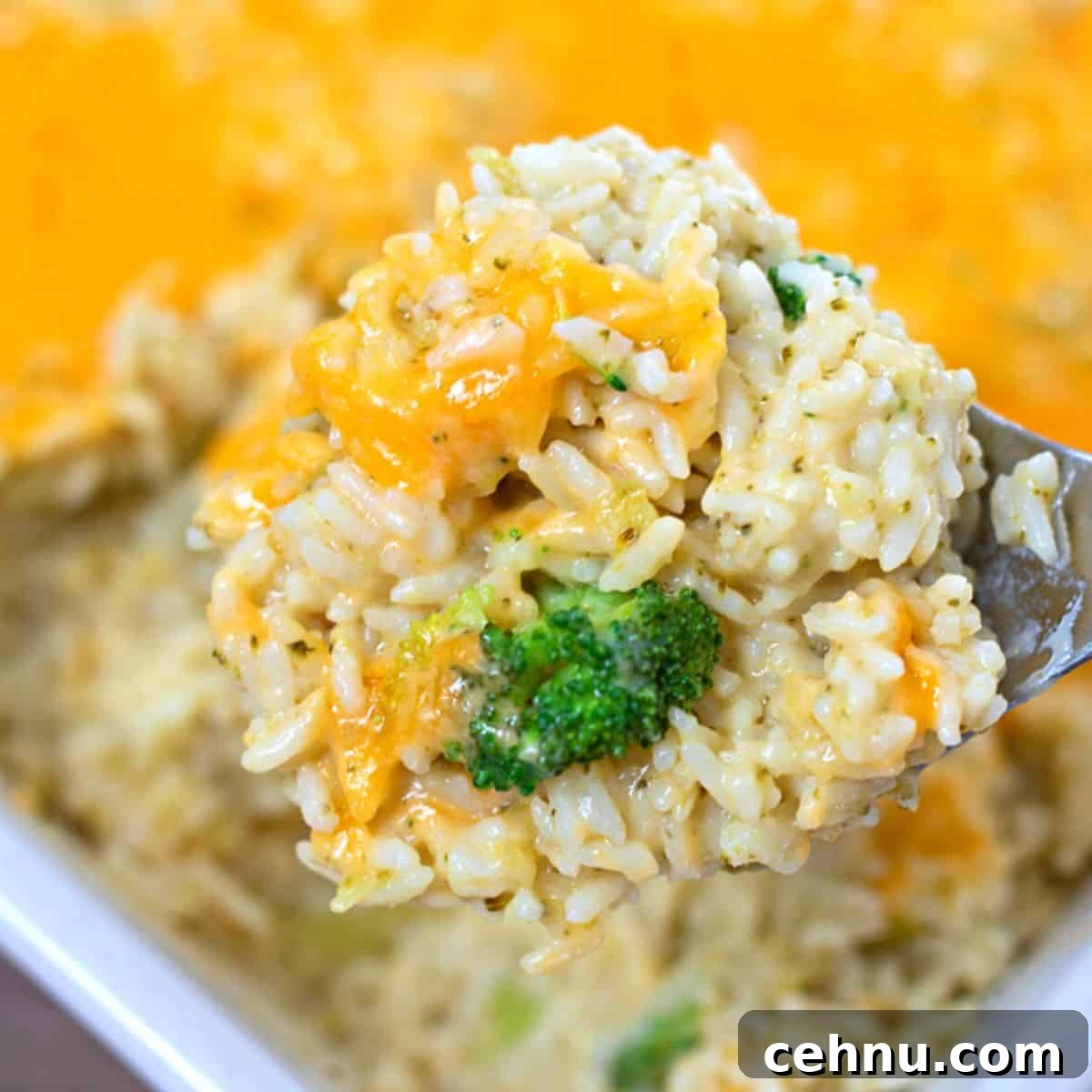 Scoop of homemade broccoli rice casserole with tons of cheese.