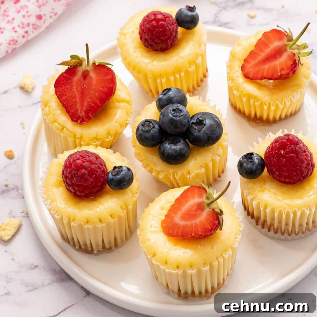 Mini cheesecakes on white plate topped with fresh fruit.