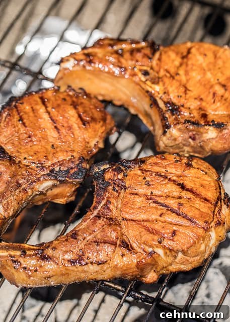Close-up of grilled pork chops showing caramelized edges