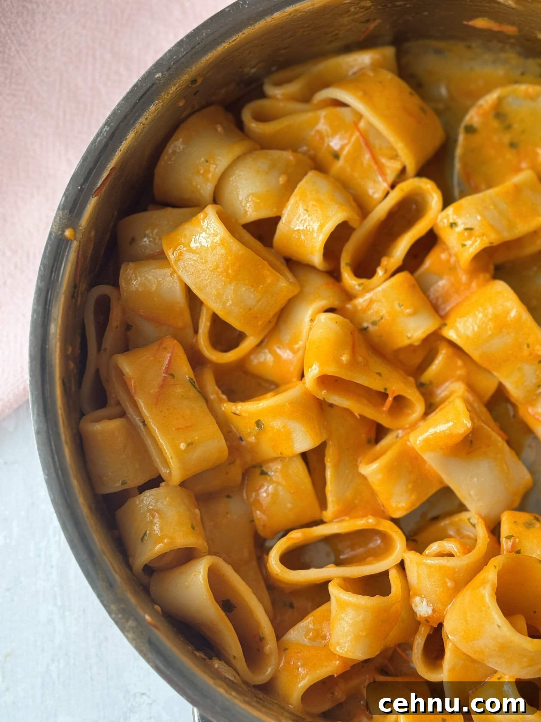 tomato butter pasta in a stainless steel pan
