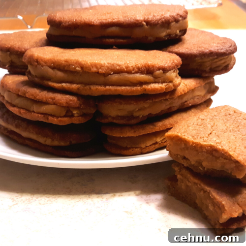 Keto Nutter Butter style cookies