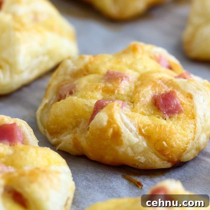 Ham and Cheese Jambon Pastries Image