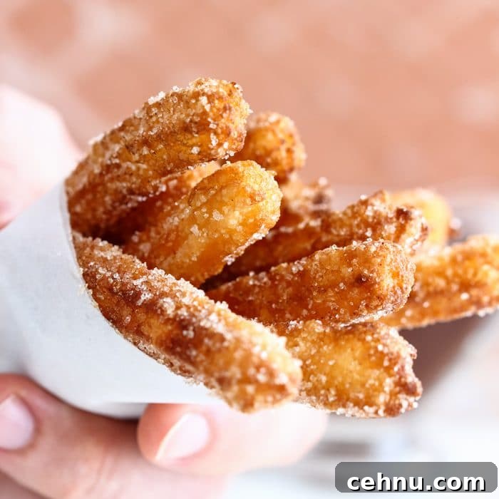 Homemade Churros Image