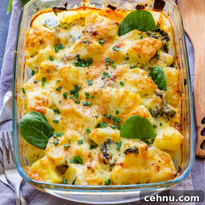 Spinach Potato Casserole Fresh from the Oven
