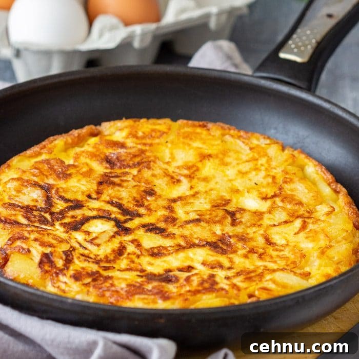 Authentic Spanish Omelette